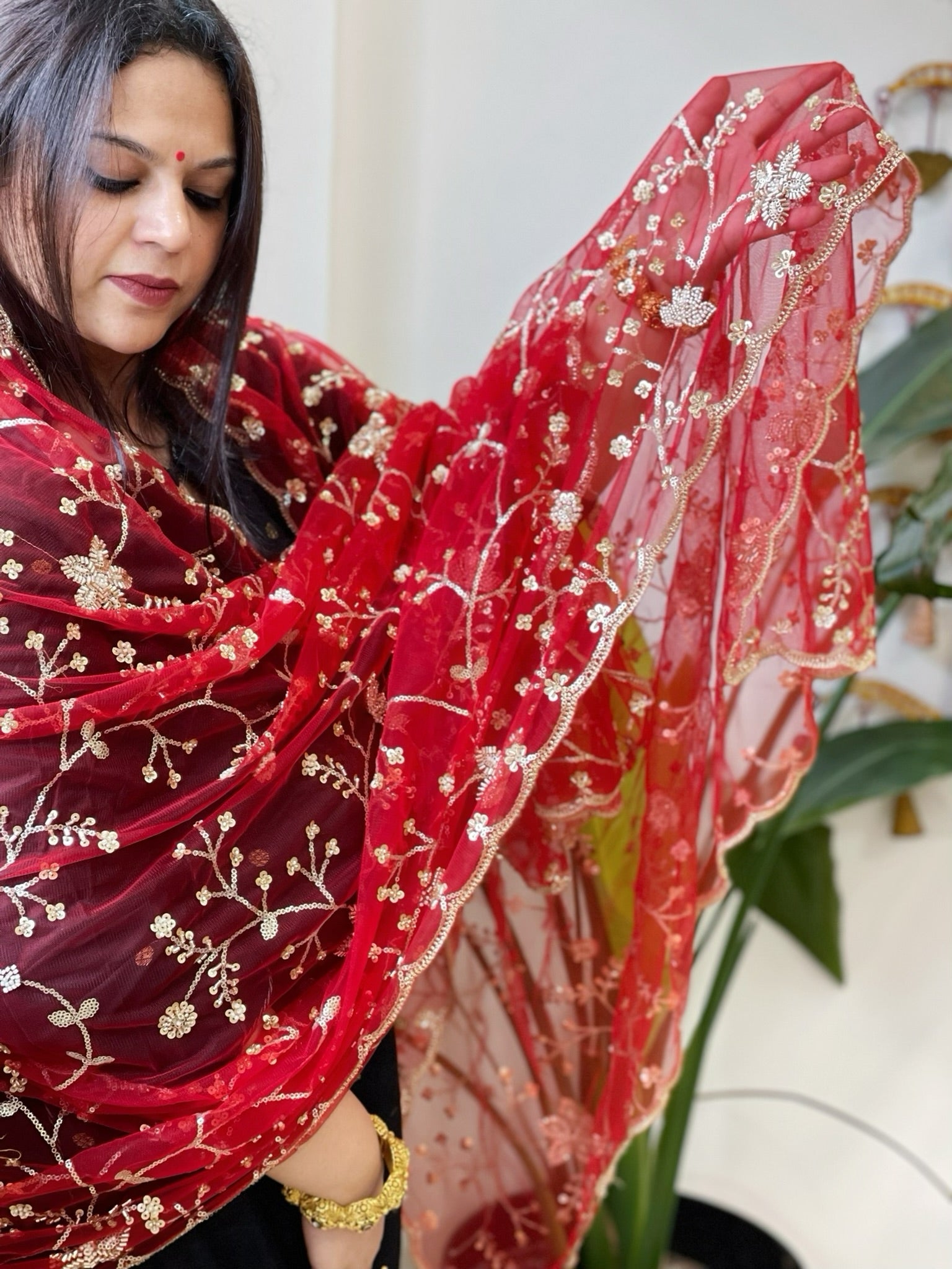 Red Net Dupatta with Sequin and Cut Daana Embroidery - Masakalee