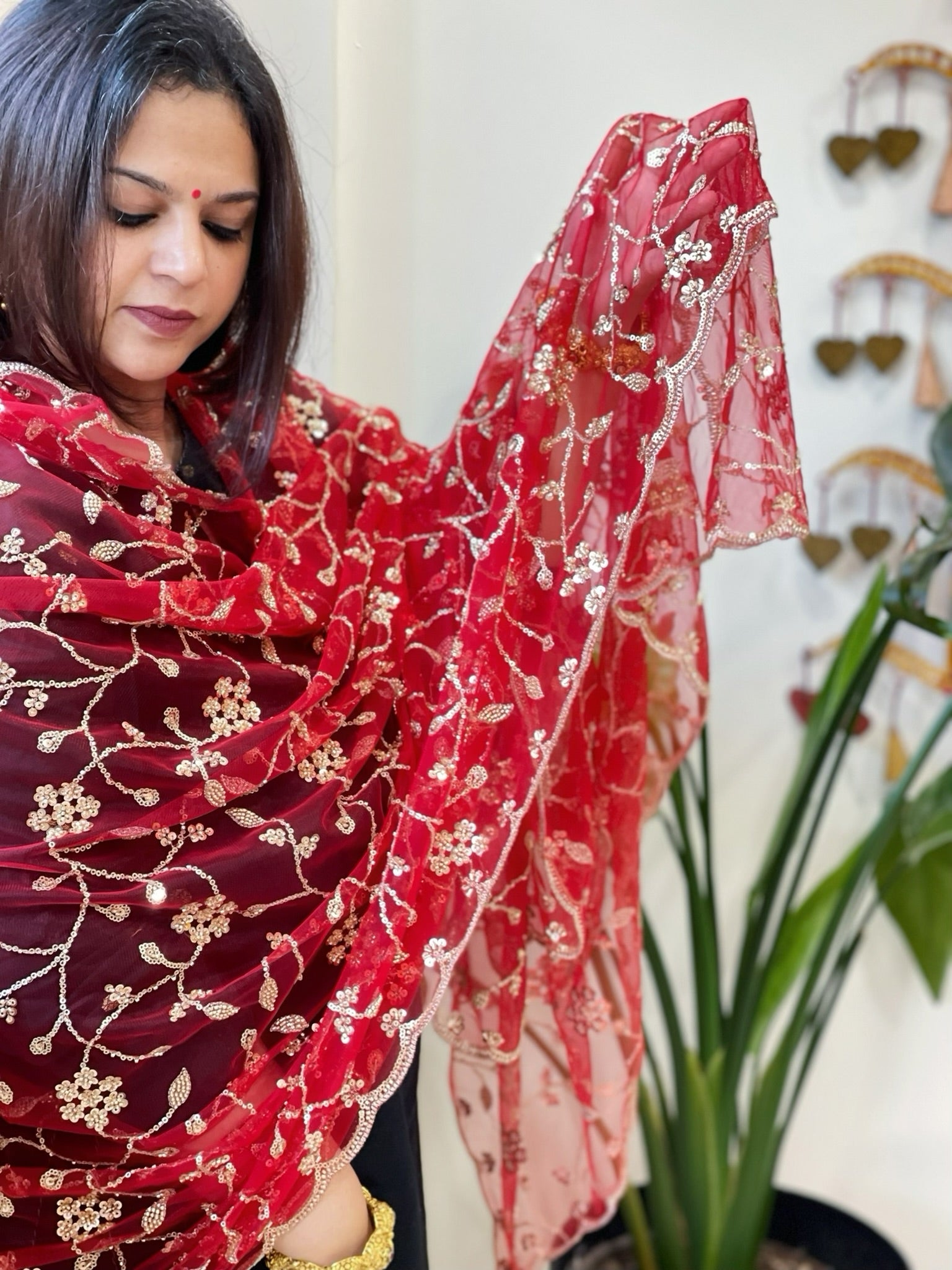 Red Net Dupatta with Sequin and Cut Daana Embroidery - Masakalee