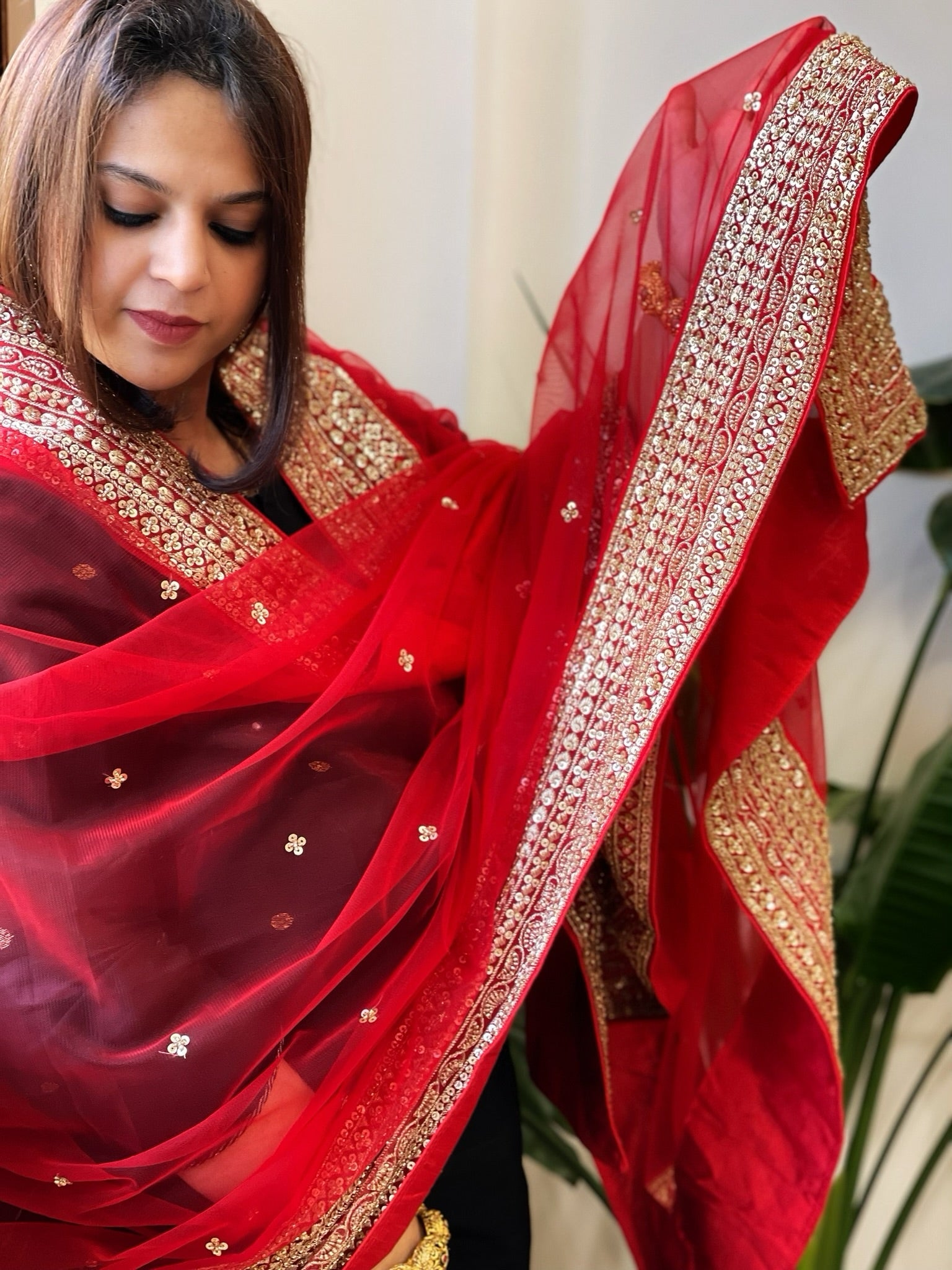 Red Net Dupatta with Sequin Butas and Heavy Embroidered Border - Masakalee
