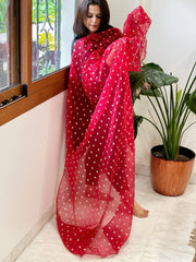 Red Organza Dupatta with Pitta Work Butas and Gota Lace Border - Masakalee
