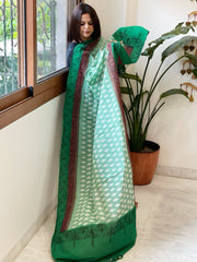 Sea Green Handwoven Ikat Dupatta with Handpainted Madhubani in Cotton - Masakalee