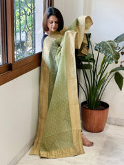 Sea Green Woven Banarasi Dupatta in Tissue - Masakalee