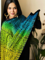 Shibori Tie Dye Dupatta in Gajji Silk - Masakalee