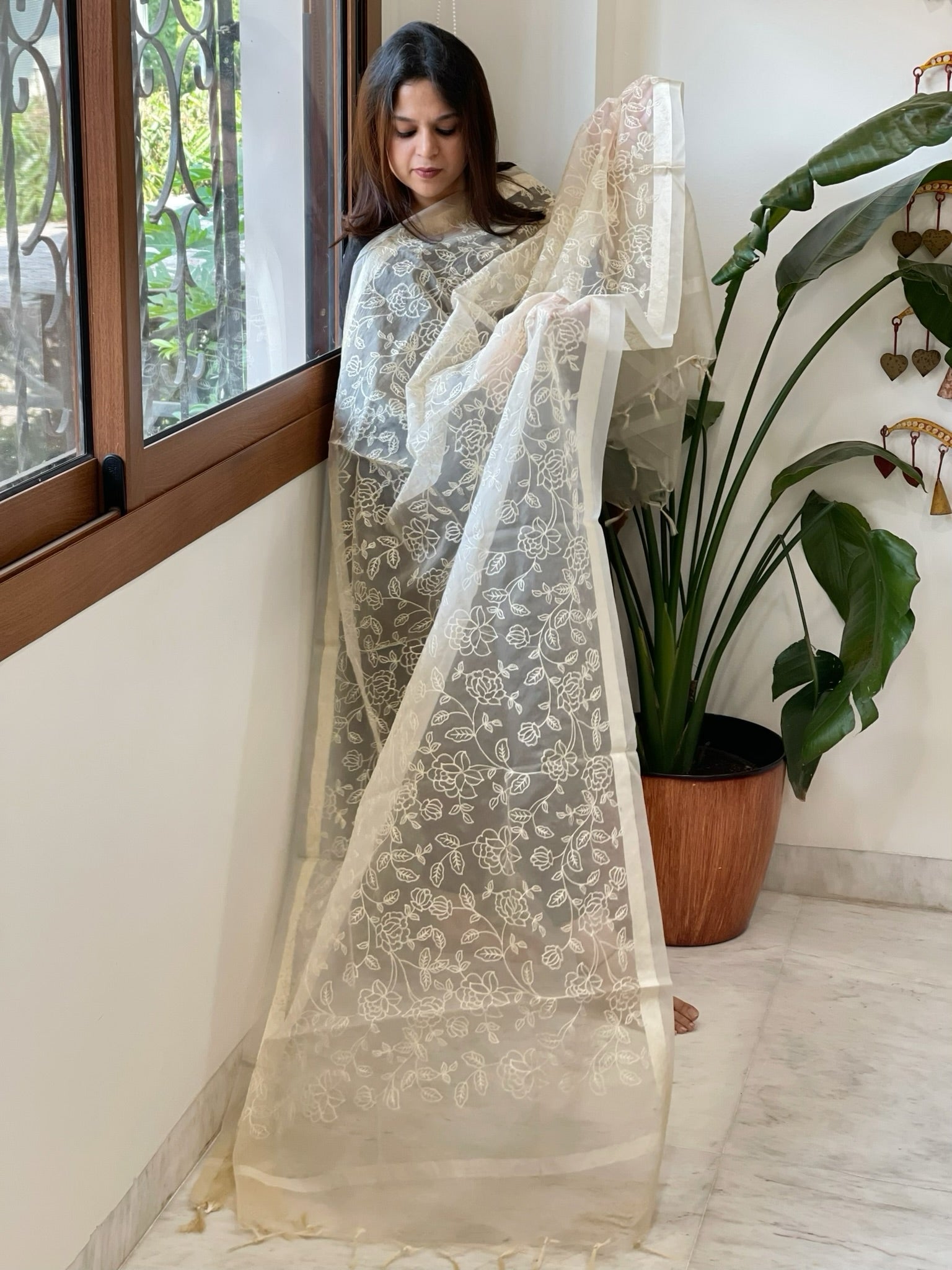 Skin Organza Dupatta with Thread Jaal Embroidery - Masakalee