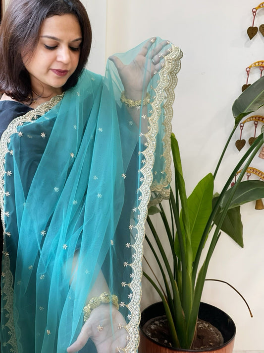 Sky Blue Net Dupatta with Pearl, Sequin and Cut Daana Embroidery - Masakalee