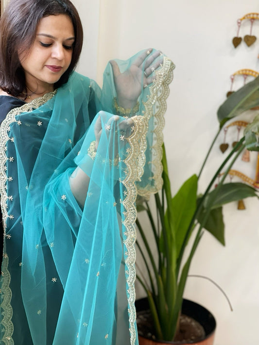 Sky Blue Net Dupatta with Pearl, Sequin and Cut Daana Embroidery - Masakalee