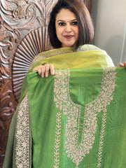 Suit Set with Kashmiri Tilla Work in Dola Silk - Masakalee