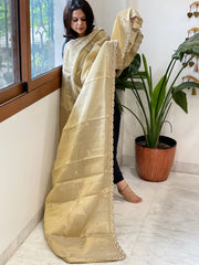 Tissue Chanderi Dupatta with Pearl, Cut Daana Handwork - Masakalee