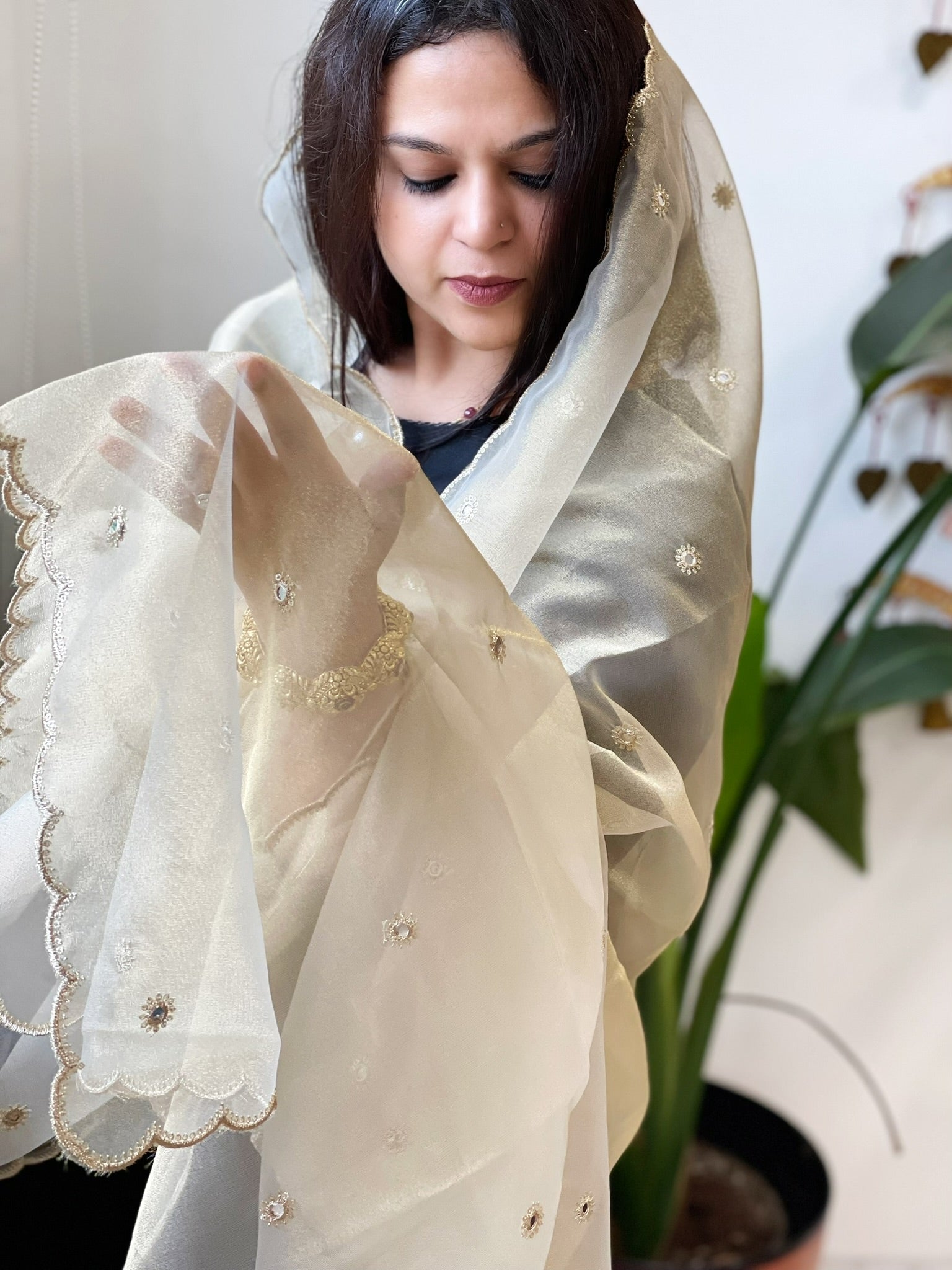 Tissue Organza Dupatta with Sequin Work - Masakalee