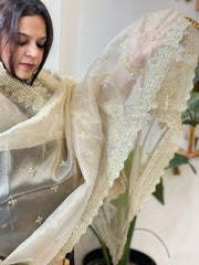 Tissue Organza Dupatta with Sequin Work - Masakalee
