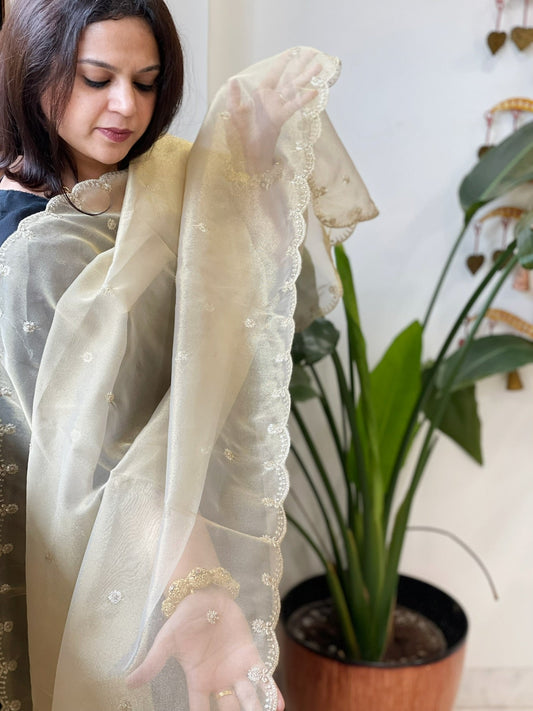 Tissue Organza Dupatta with Sequin Work - Masakalee