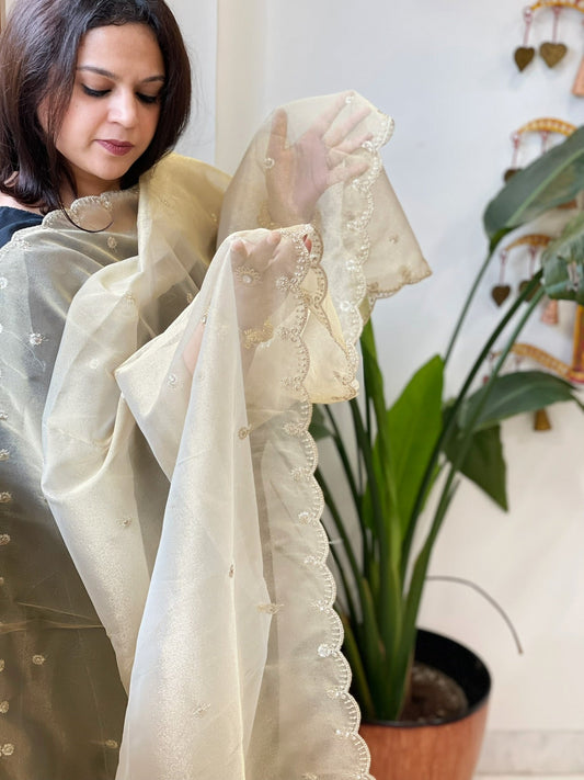 Tissue Organza Dupatta with Sequin Work - Masakalee