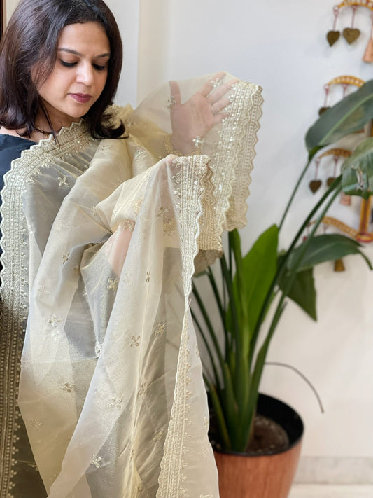 Tissue Organza Dupatta with Sequin Work - Masakalee