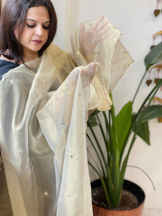 Tissue Organza Dupatta with Sequin Work - Masakalee