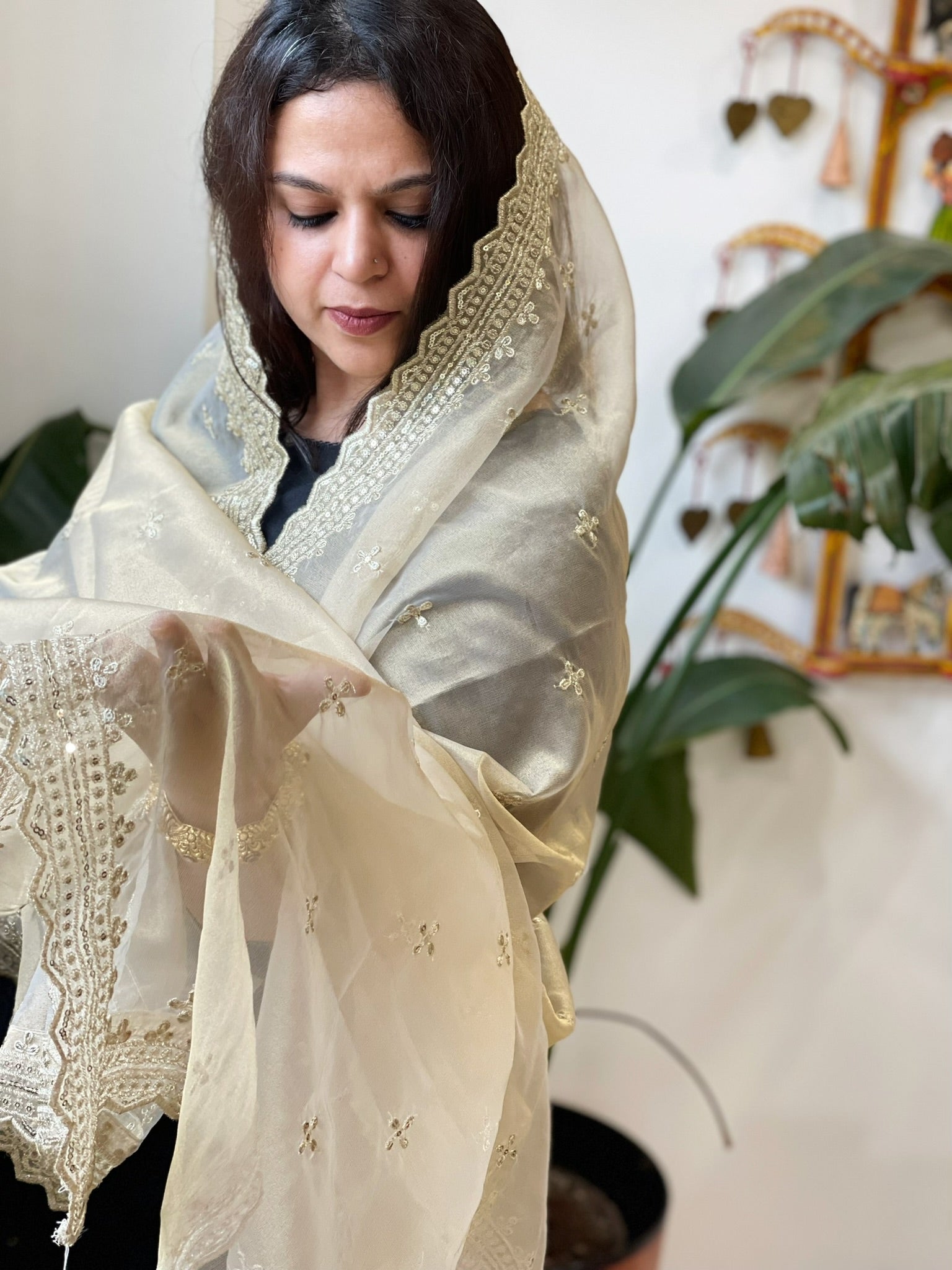 Tissue Organza Dupatta with Sequin Work - Masakalee