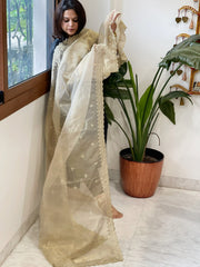 Tissue Organza Dupatta with Sequin Work - Masakalee