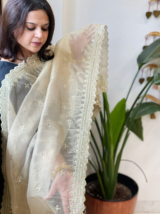 Tissue Organza Dupatta with Sequin Work - Masakalee