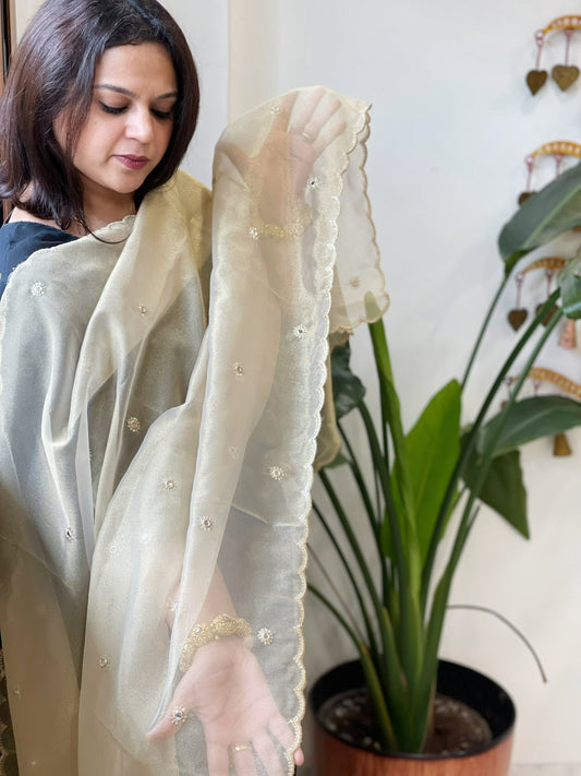 Tissue Organza Dupatta with Sequin Work - Masakalee