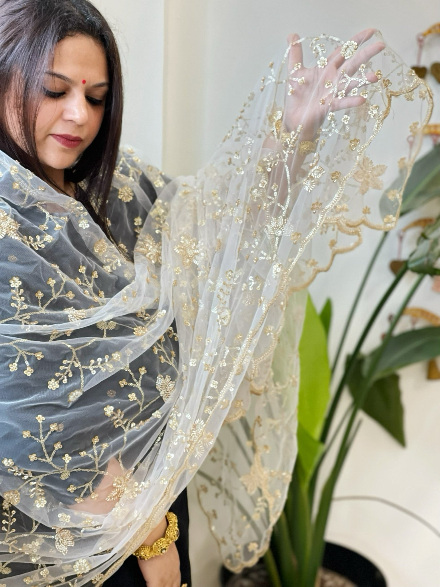 White Net Dupatta with Sequin and Cut Daana Embroidery - Masakalee