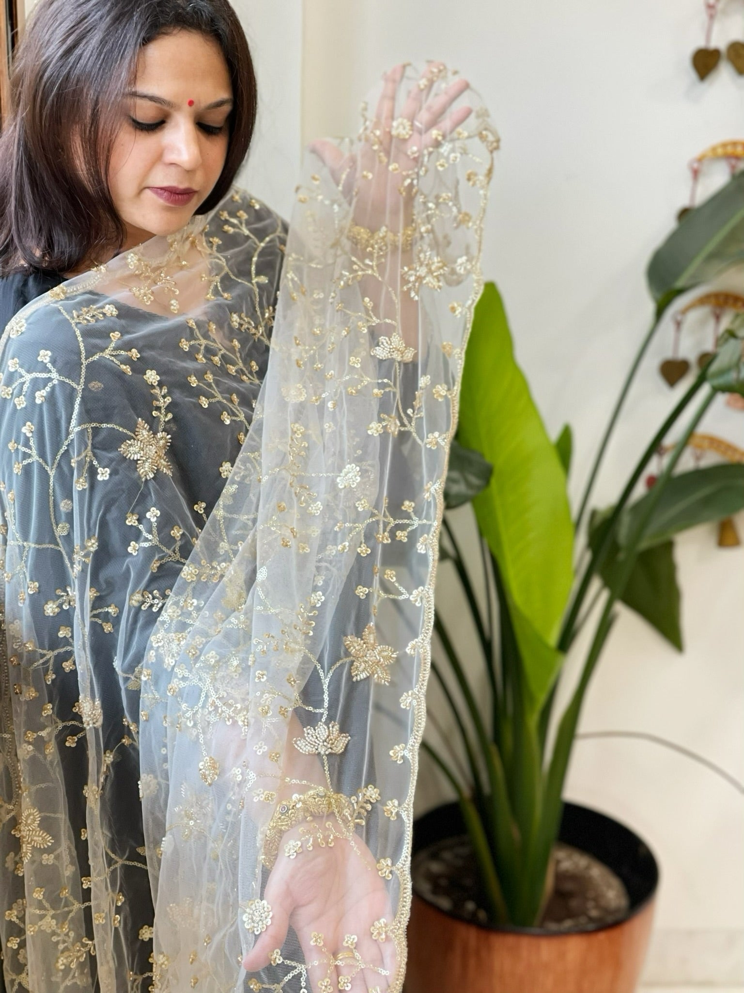 White Net Dupatta with Sequin and Cut Daana Embroidery - Masakalee